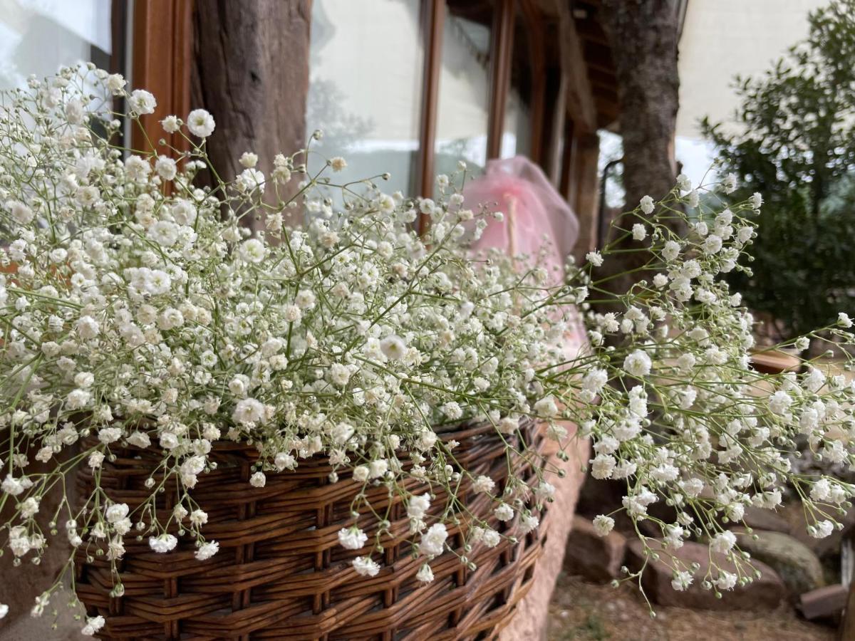 El Rincon De Golobar En Branosera Dış mekan fotoğraf
