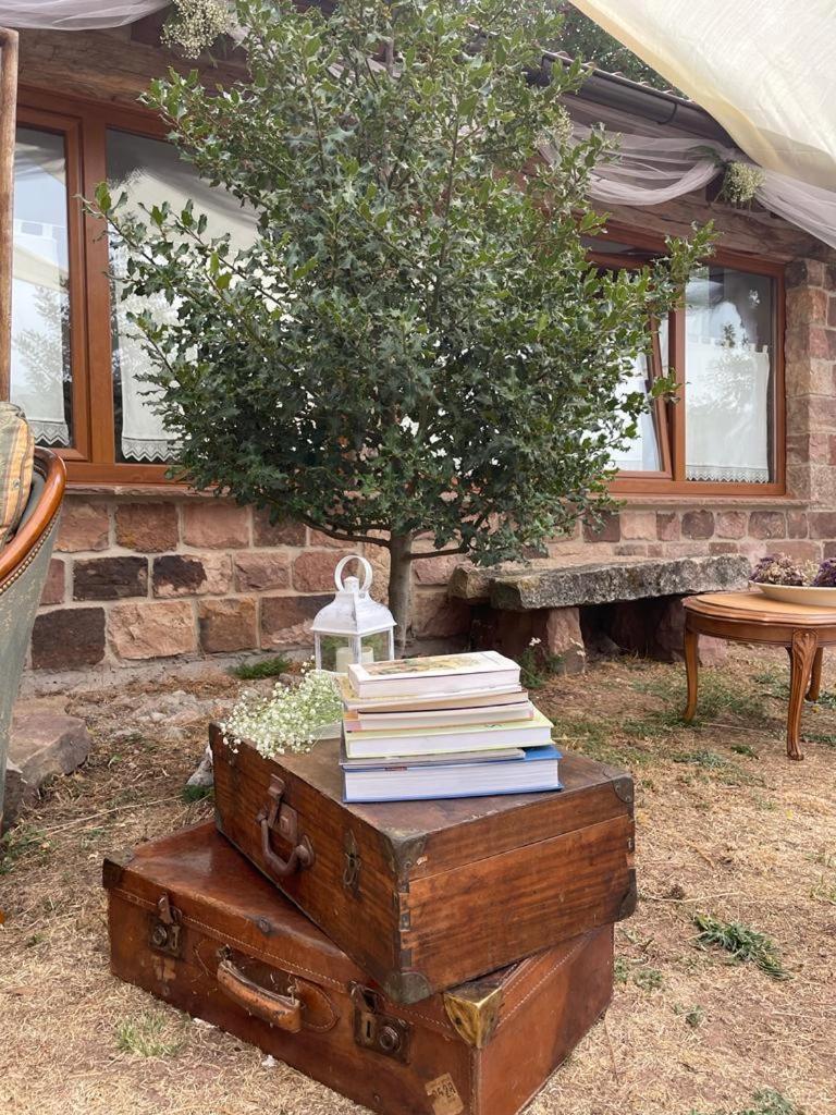 El Rincon De Golobar En Branosera Dış mekan fotoğraf