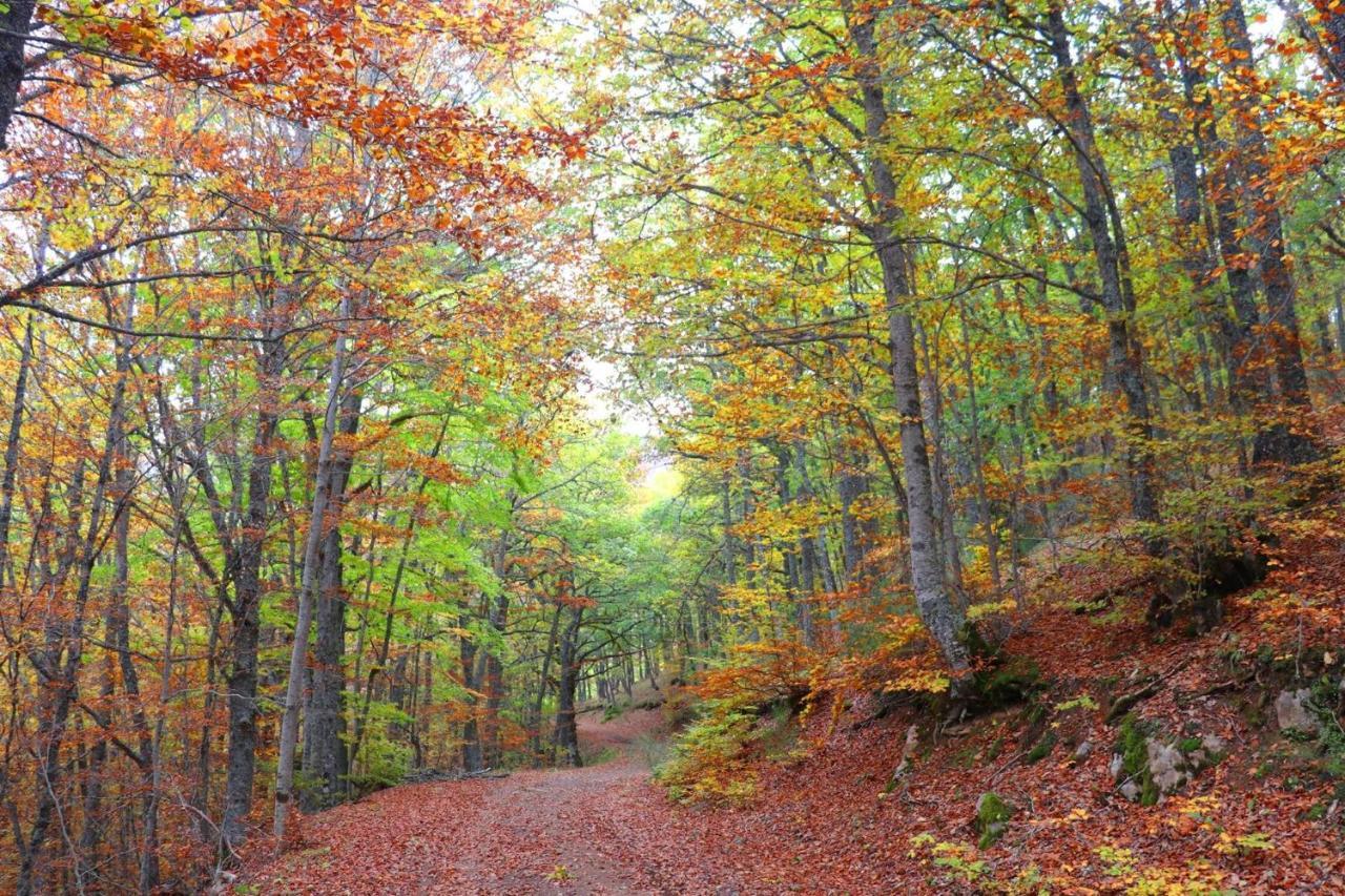 El Rincon De Golobar En Branosera Dış mekan fotoğraf